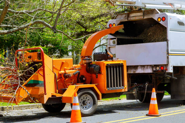 Santa Nella, CA Tree Services Company